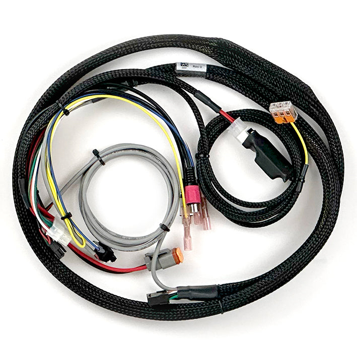 New! 8" Beatbox Blackbird