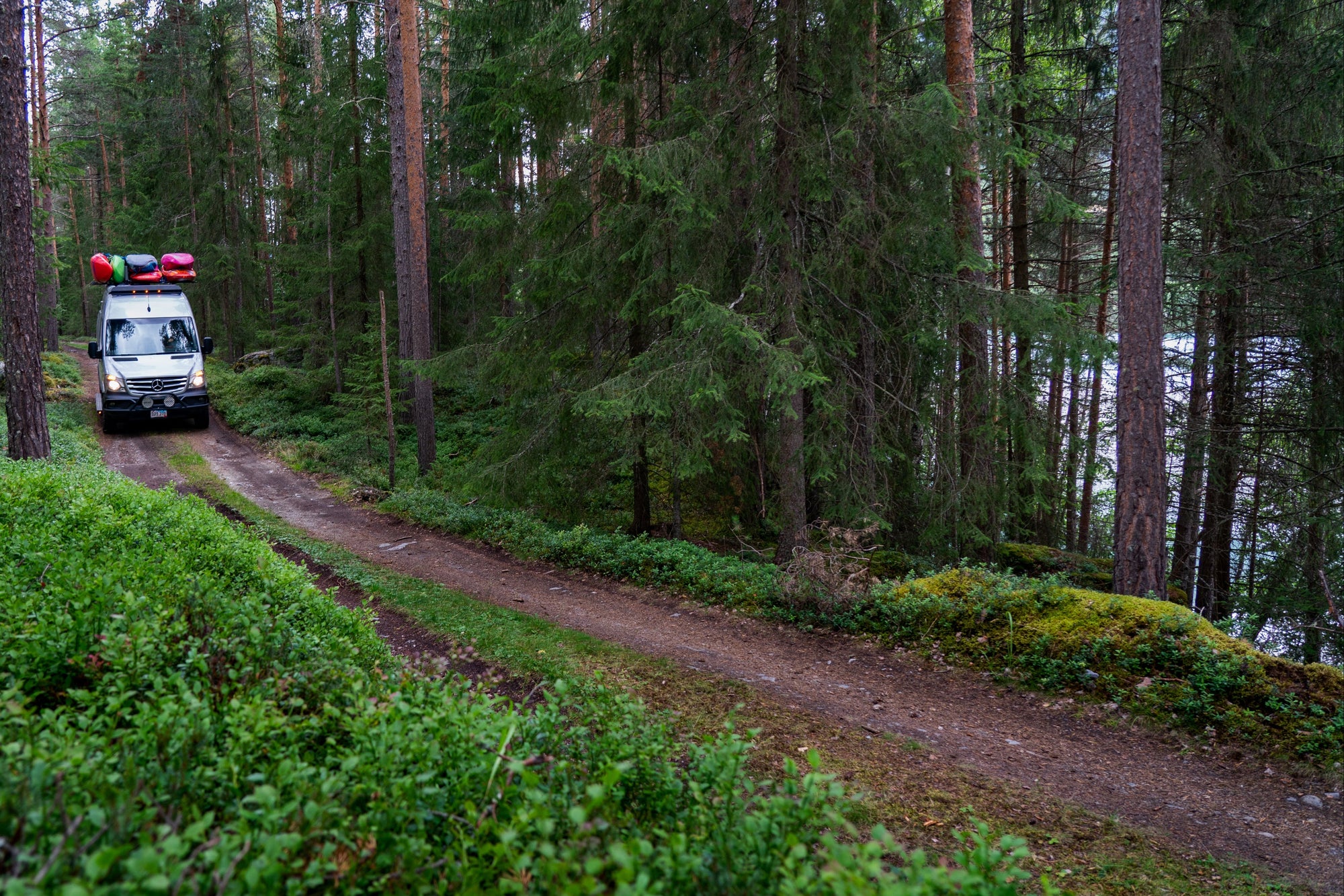 Winnebago Revel Campervan on dirt road in the woods