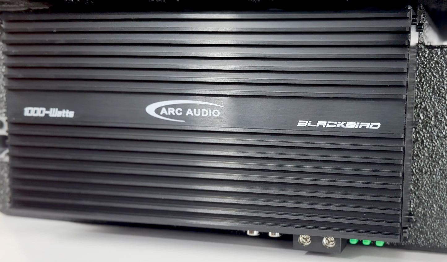 New! 8" Beatbox Blackbird