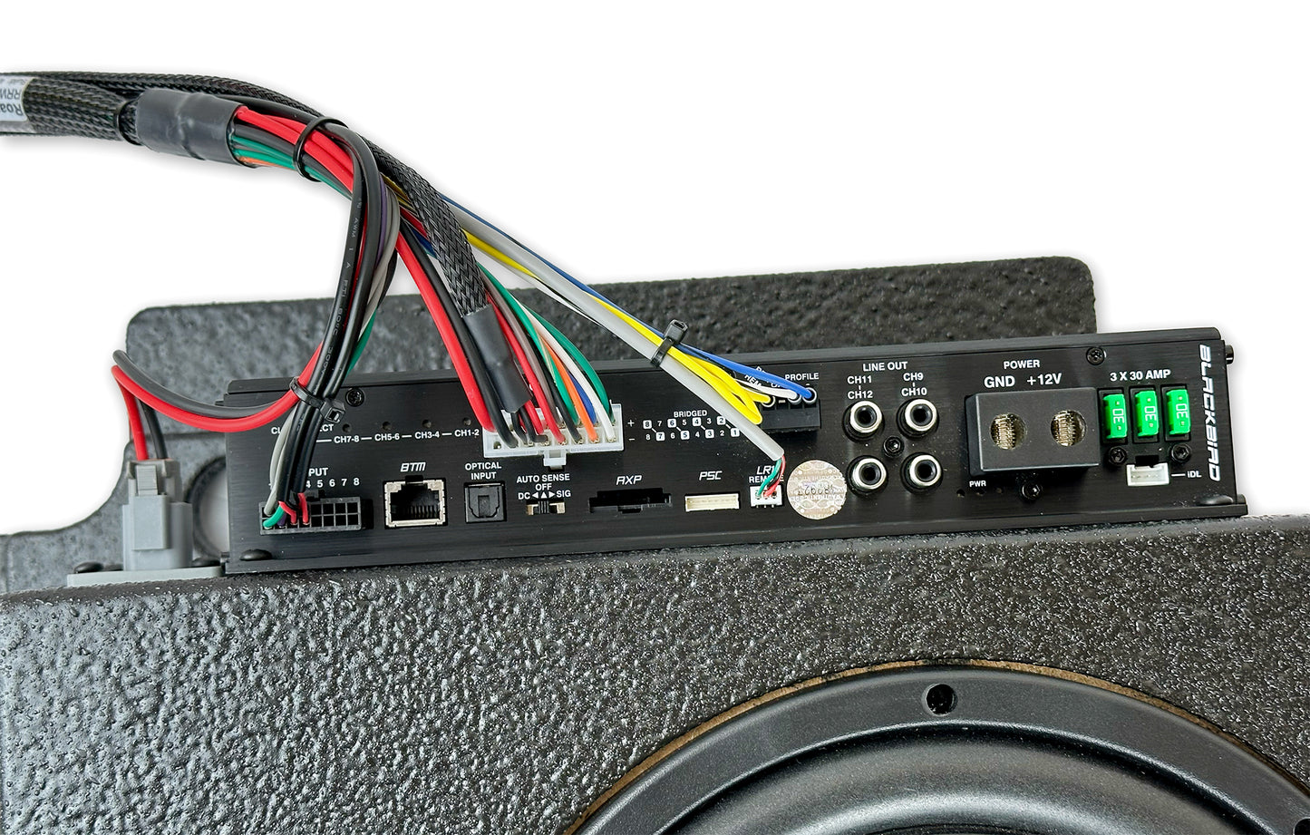 New! 8" Beatbox Blackbird