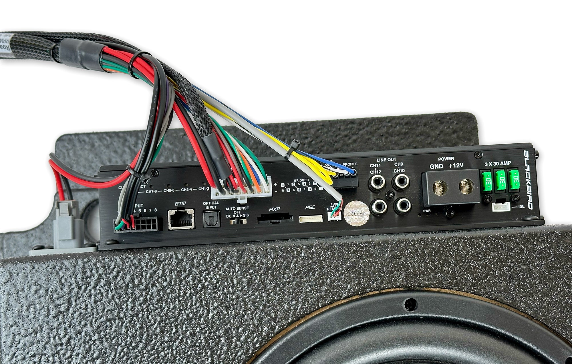 RoamRig Beatbox Blackbird Amp Close Up